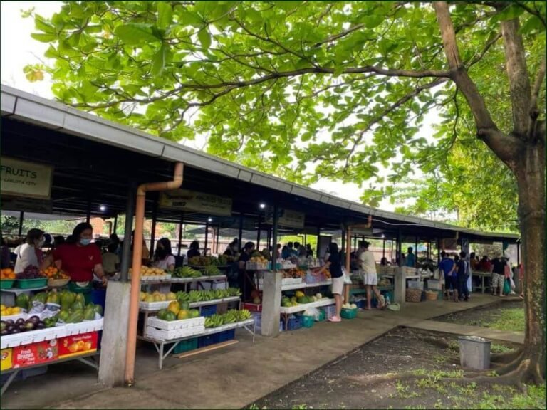 Happy 9th anniversary Negros Farmers Weekend Market!