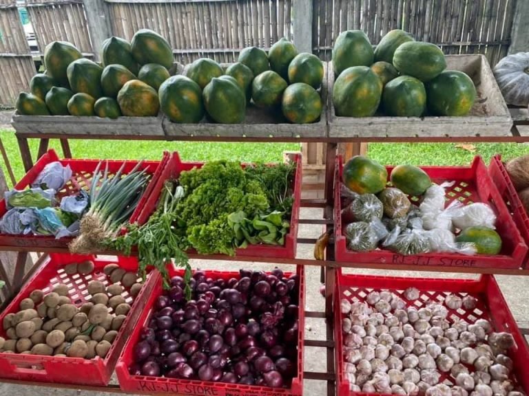 Time for our SATURDAY HABIT at the Negros Farmers Weekend Market! Everything freshly harvested and of best quality for our families