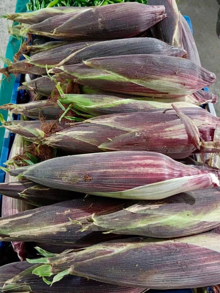 Morado Corn, Red Lady Papaya at Negros Farmers Weekend Market