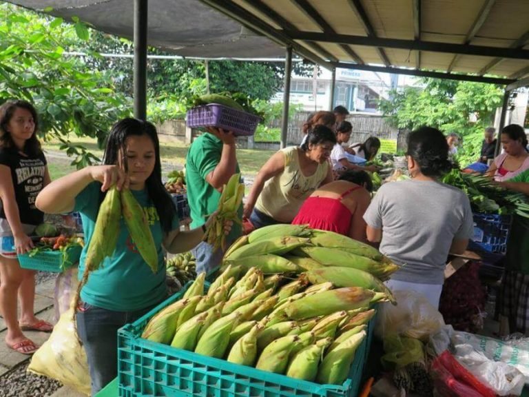 Quality Vegetables, Fruits, Meat and Seafoods @ Negros Farmers Weekend Market