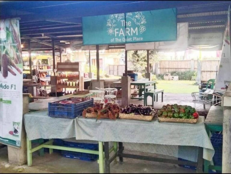 Negros Farmers Weekend Market Celebrates 10th Anniversary