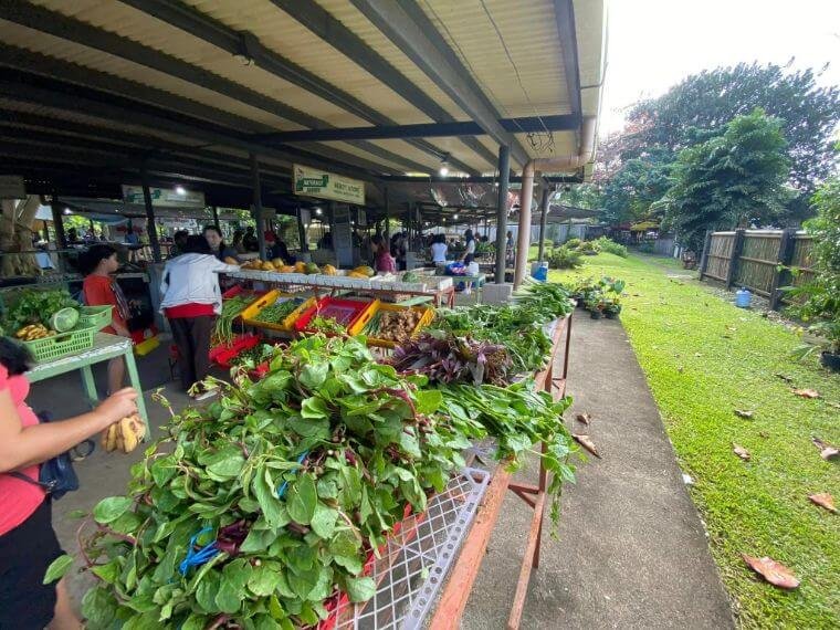 Negros Farmers Weekend Market Countdown to 10: 3 Saturdays To go!